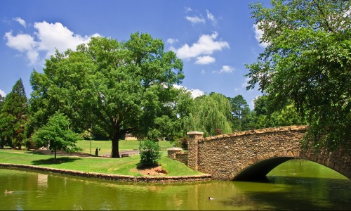 <br></b>WHY SO MANY ARE CALLING CHARLOTTE HOME</b><br> Cover Image